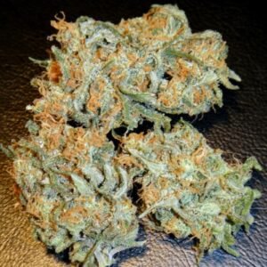 Buy Aurora Indica