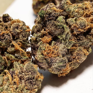 Purple Diesel