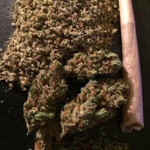 Buy Sensi Star